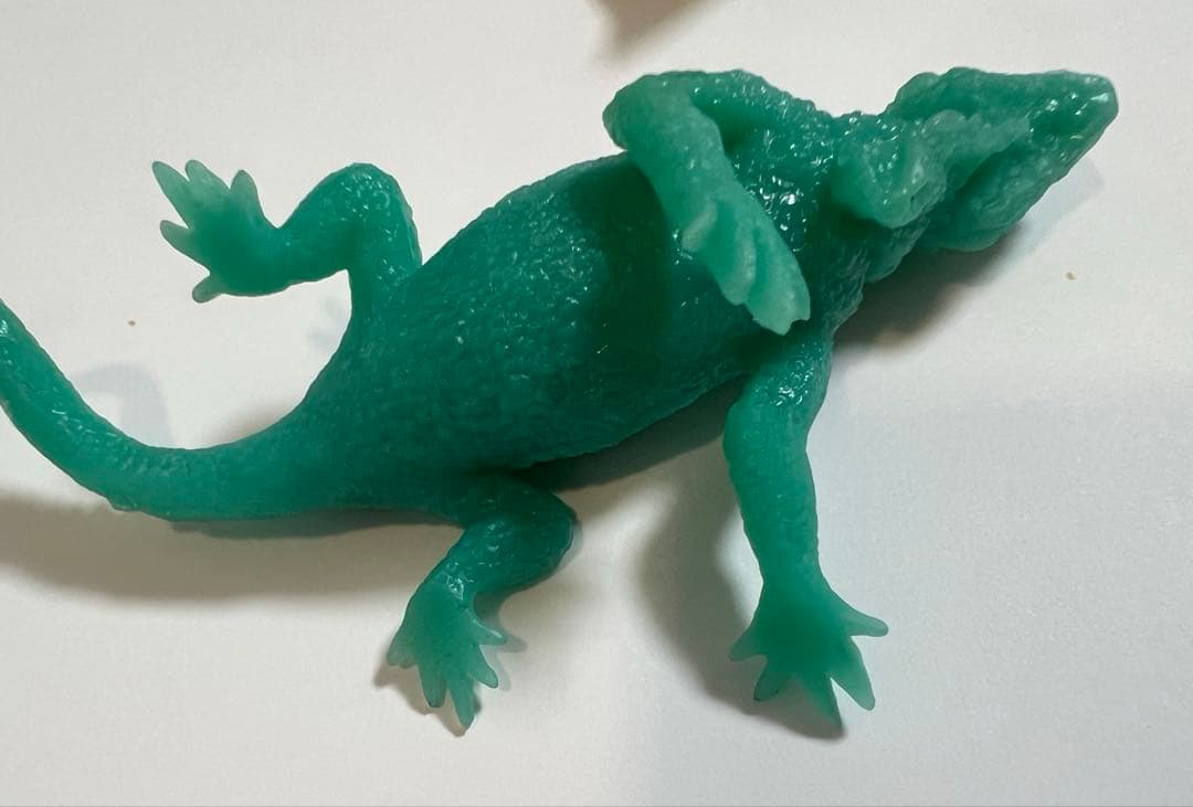 IGUANA＆coミニ　アンドコミニ爬虫類イグアナ未使用応募券クシトゲオイグアナ — image 4