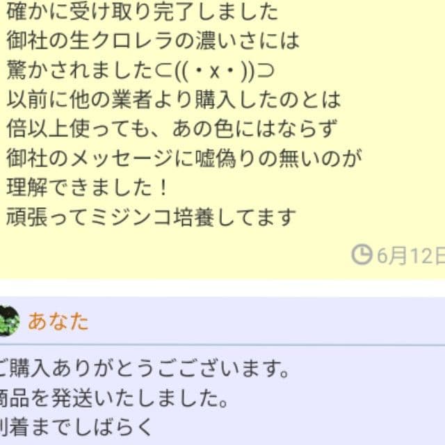 安心の国内産★SuperExcelent生クロレラ原液300ml★詰替用p — image 3