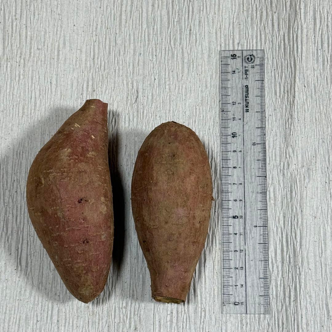 種子島産　安納芋　Sサイズ　５キロ — image 2