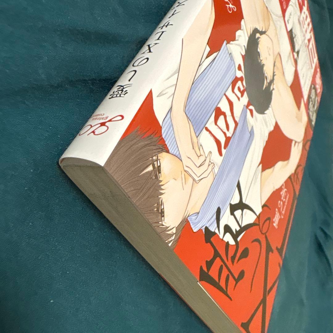 愛しのXLサイズ　重い実 — image 4