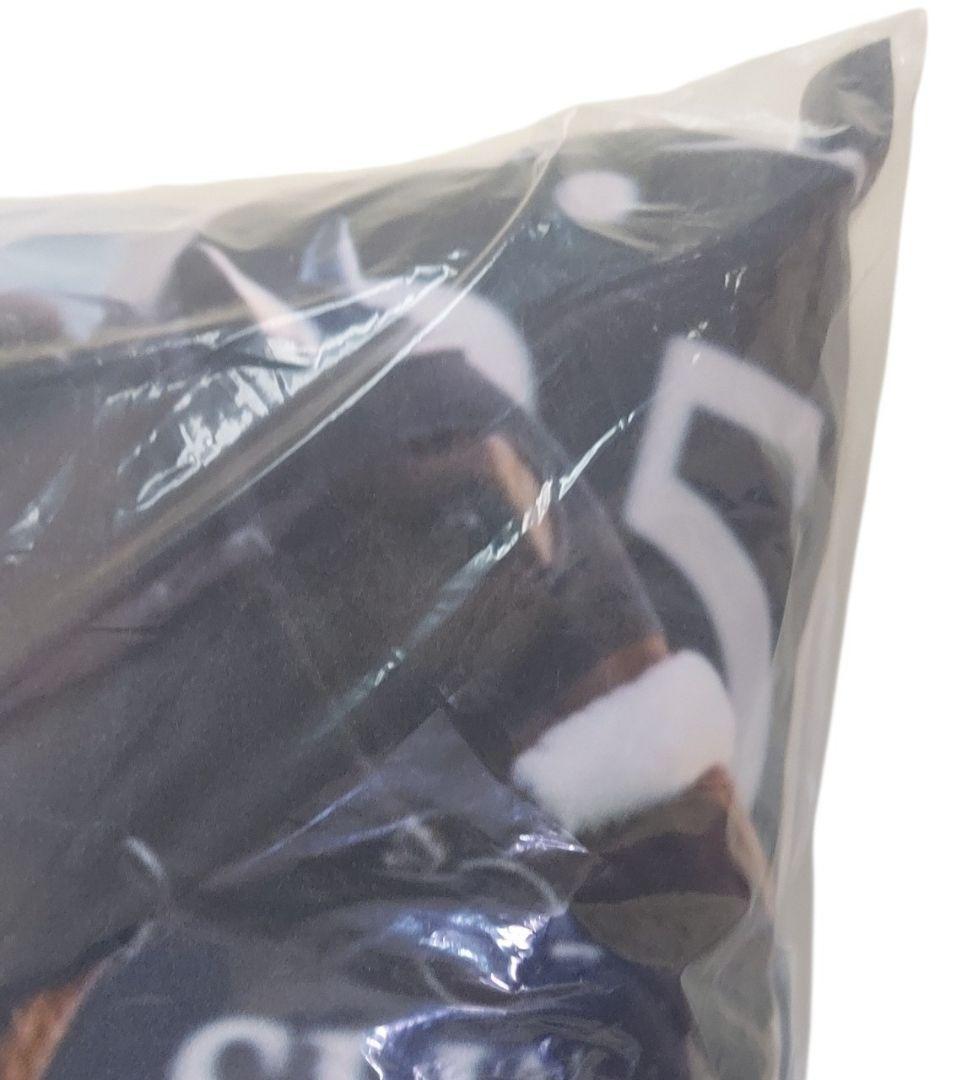 アーモンドアイ クッション 非売品 — image 2