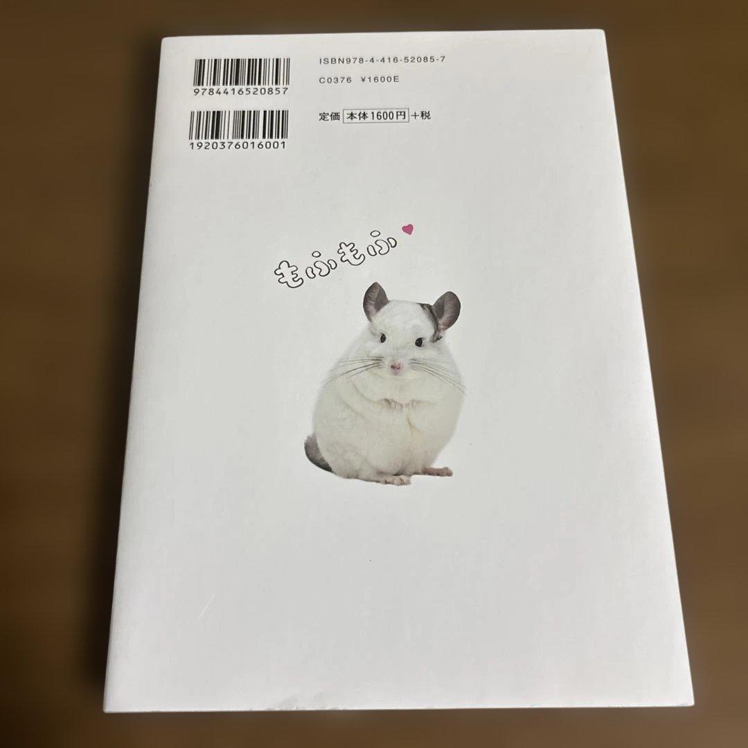 チンチラ、飼いはじめました! — image 2