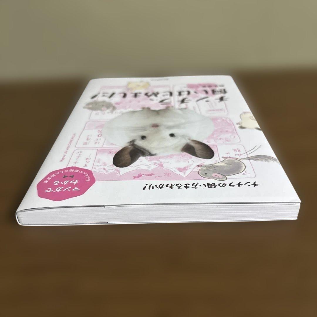 チンチラ、飼いはじめました! — image 3