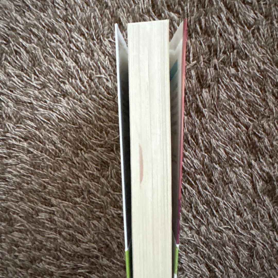 小説 — image 2