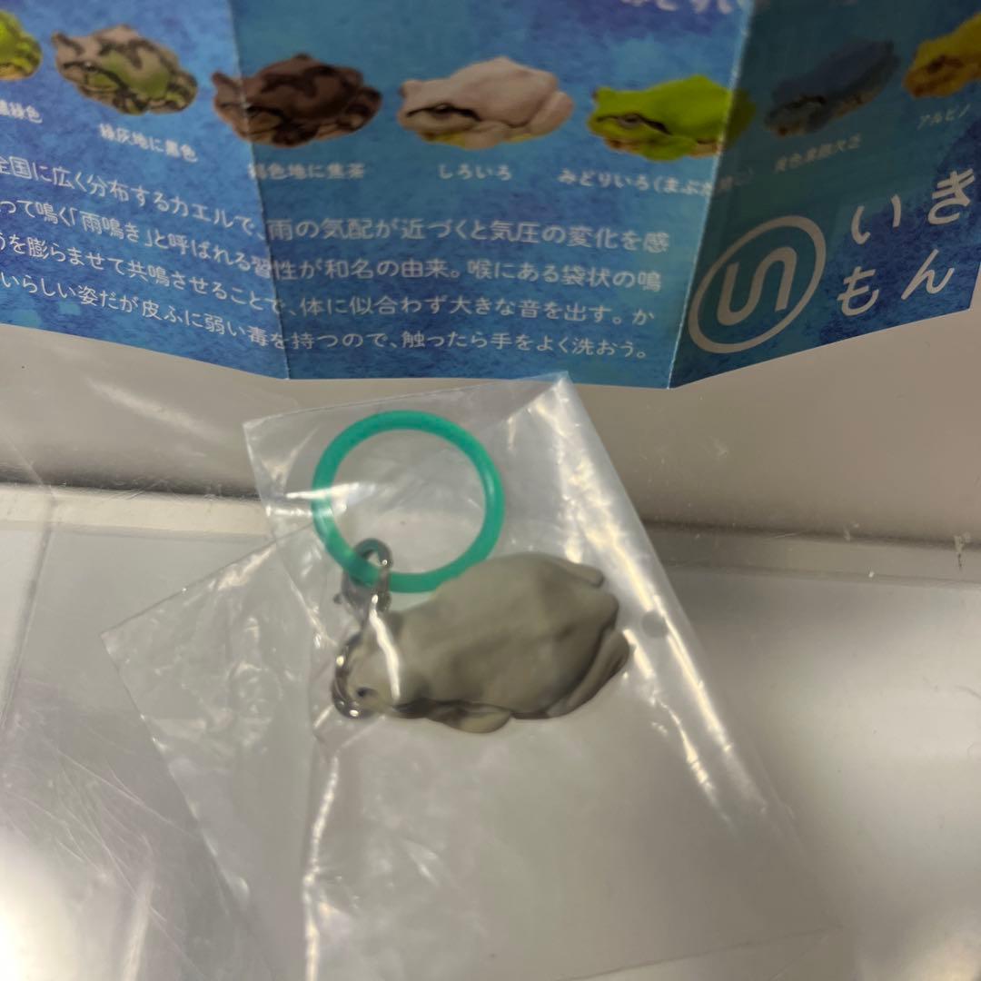ネイチャーテクニカラー アマガエルめじるしマスコット しろいろ — image 2