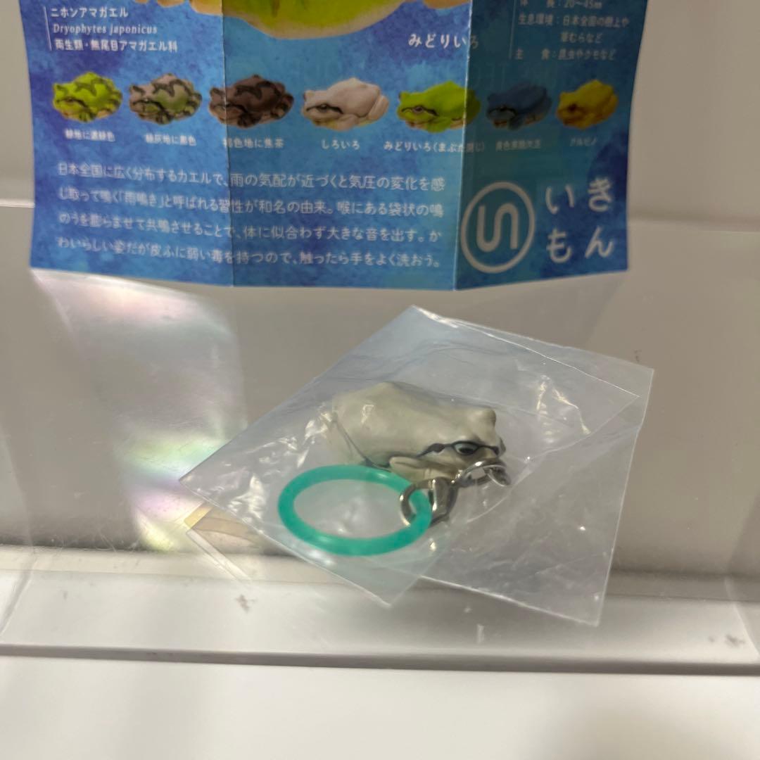 ネイチャーテクニカラー アマガエルめじるしマスコット しろいろ — image 3