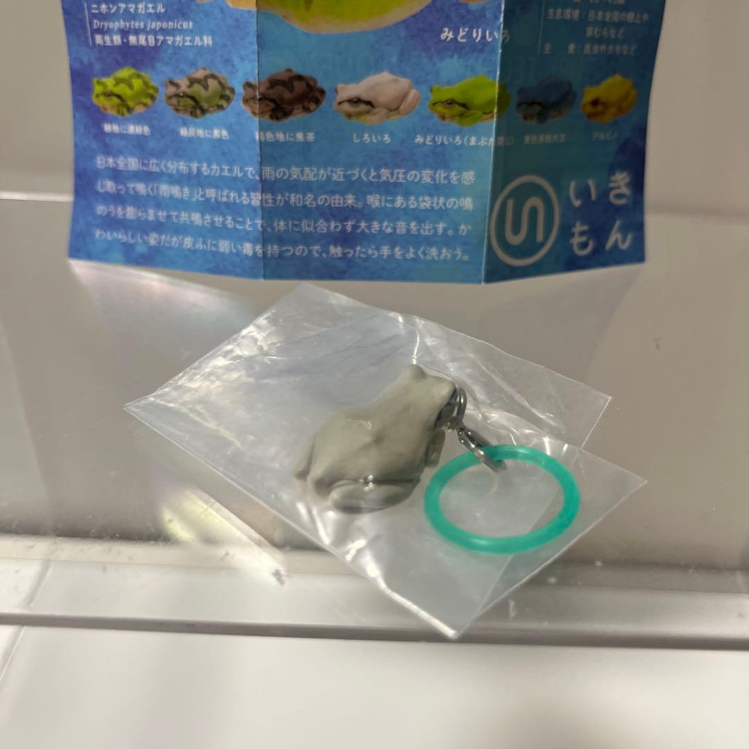ネイチャーテクニカラー アマガエルめじるしマスコット しろいろ — image 4
