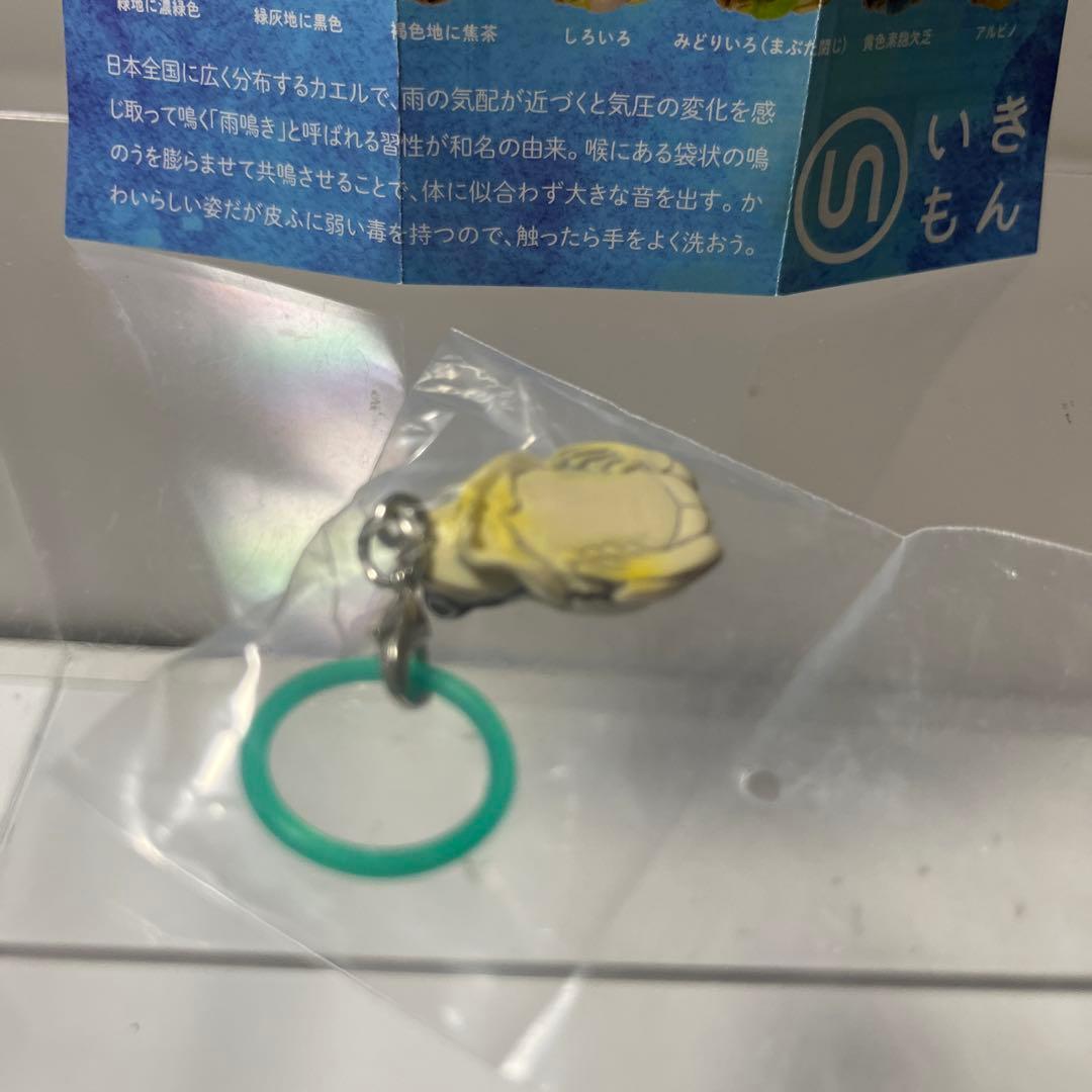 ネイチャーテクニカラー アマガエルめじるしマスコット しろいろ — image 5