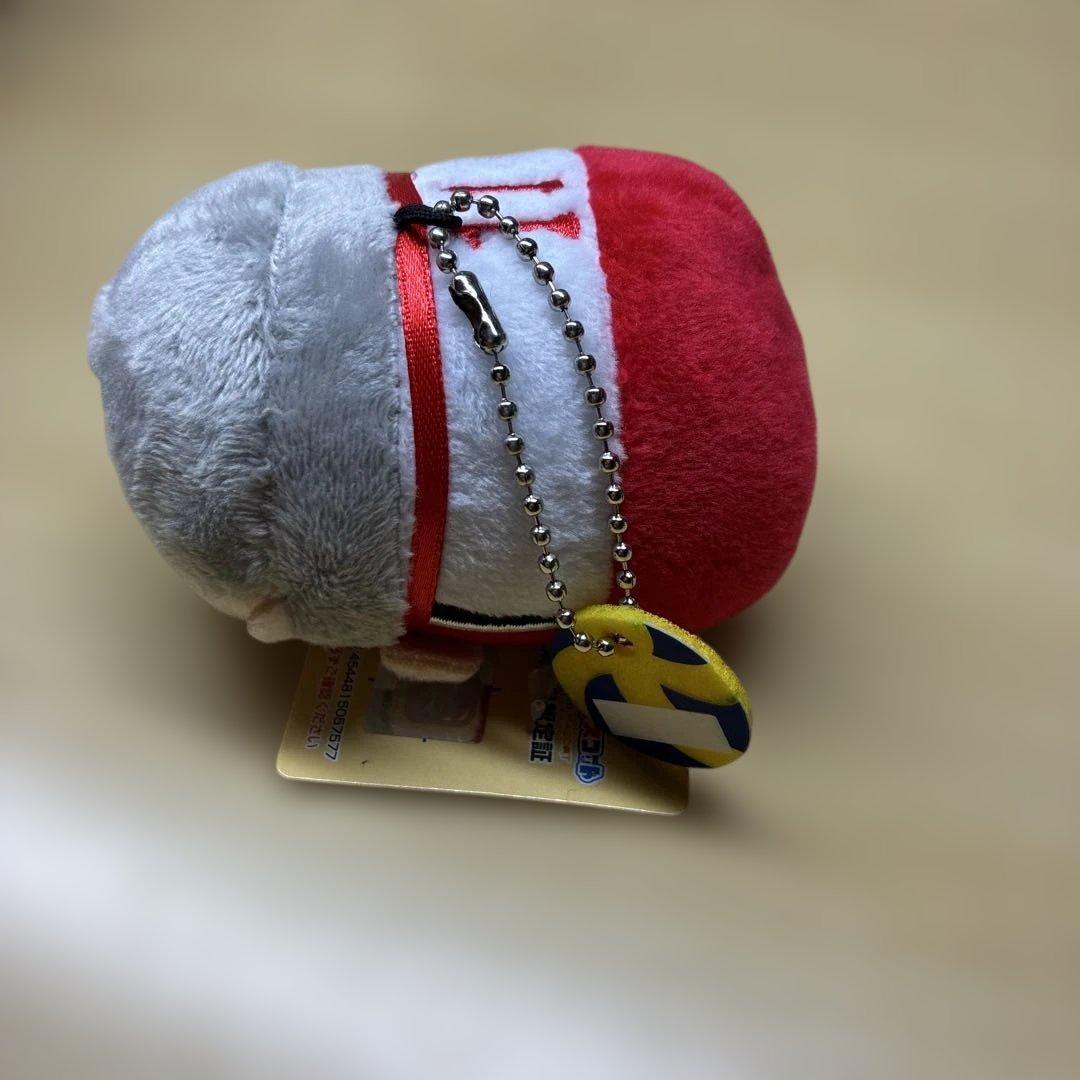 ハイキュー　もちもちマスコット　灰羽リエーフ　ぬいぐるみ — image 3
