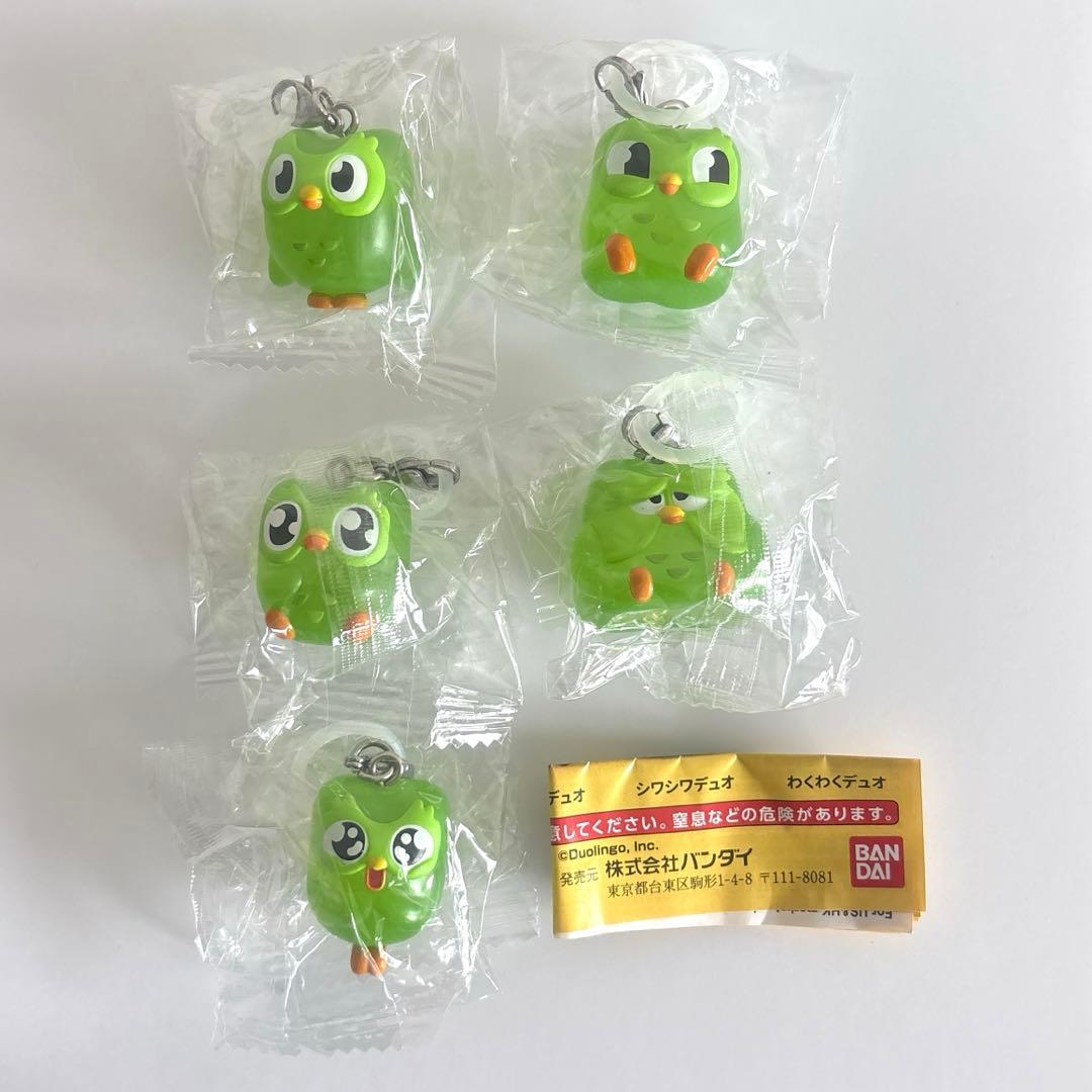 duolingo めじるしアクセサリー 全5種コンプリート — image 2