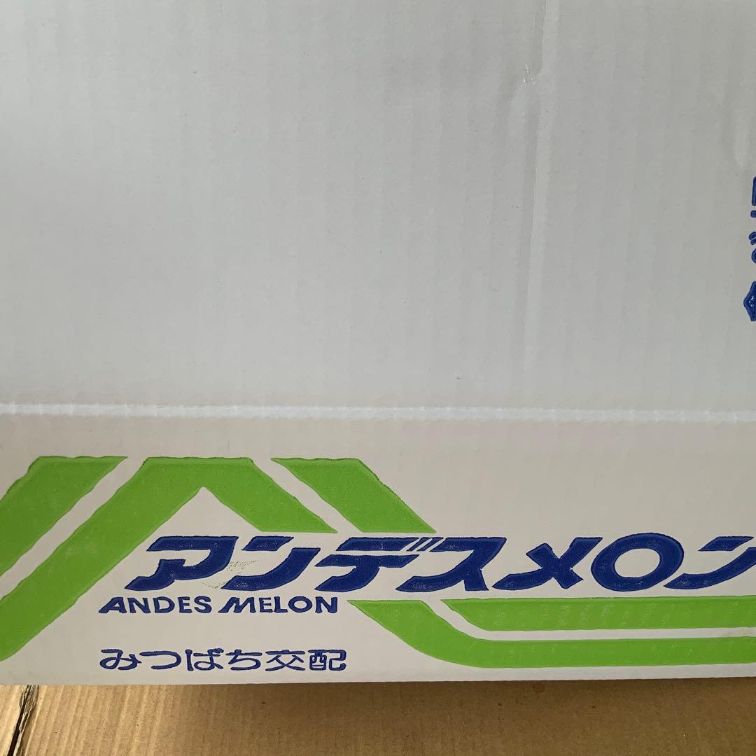 千葉県産 アンデスメロン　4Lサイズ3玉 農家直送 食べ頃6月23日 — image 3