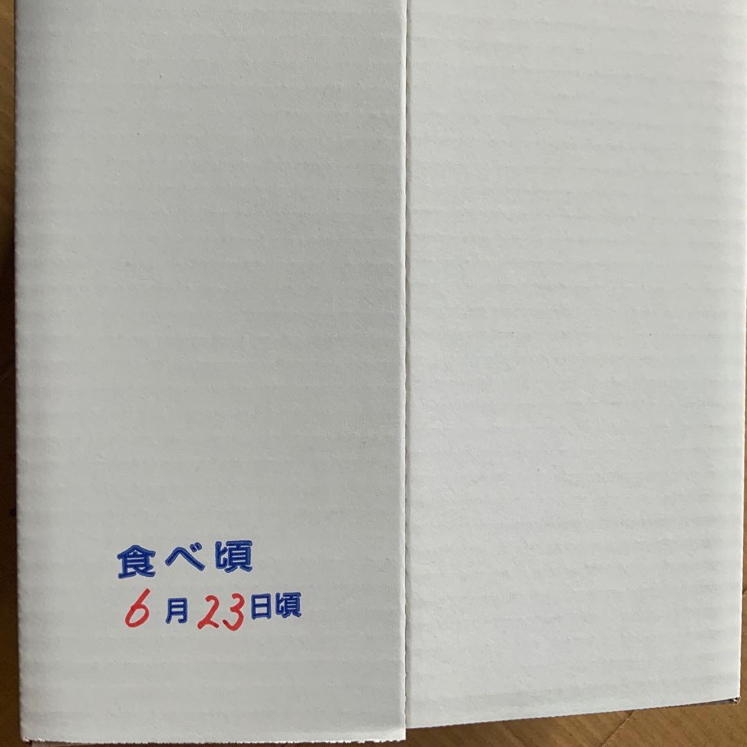 千葉県産 アンデスメロン　4Lサイズ3玉 農家直送 食べ頃6月23日 — image 4