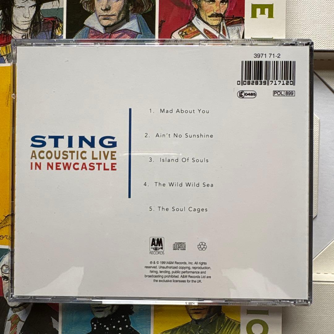 Sting Acoustic 限定版 1度使用 — image 3