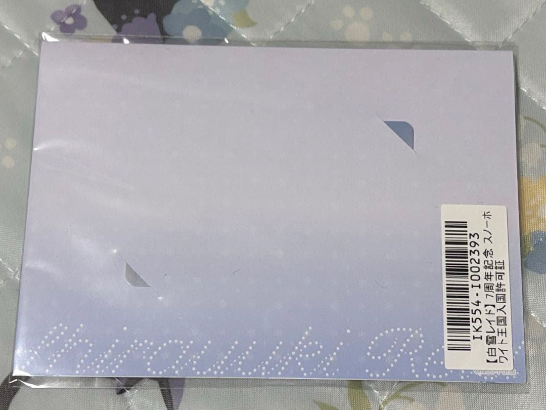 白雪レイド 入国許可証 — image 3