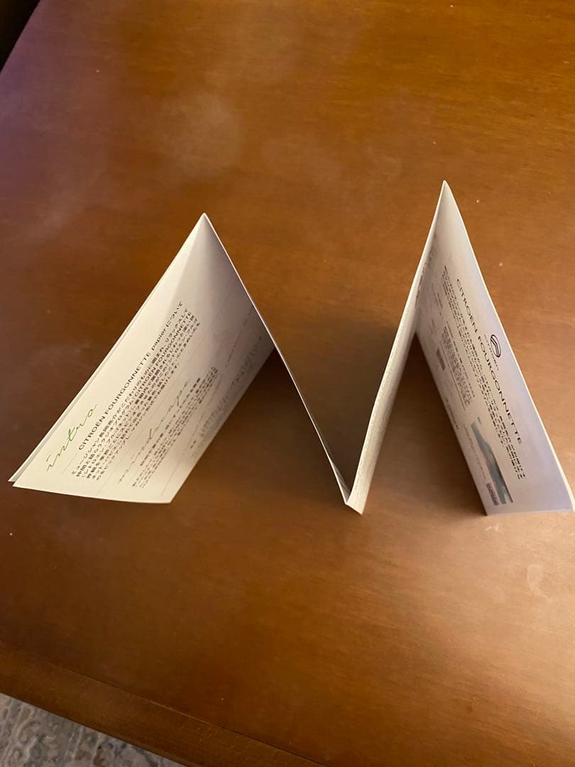 長岡亮介　CITROEN FOURGONNETTE papier 2冊セット — image 3