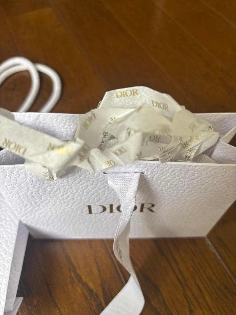 Dior ショップ袋 2枚セット — image 3
