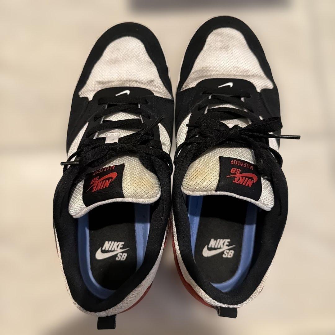 ナイキ アリウープ Nike SB Alleyoop スニーカー 26.5cm — image 2