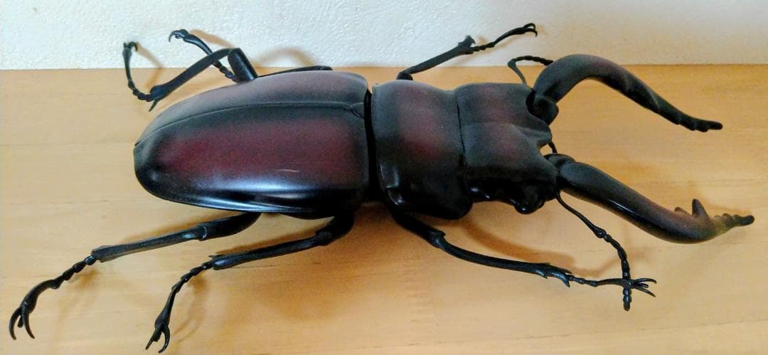 ノコギリクワガタ　MEGA　フィギュア　昆虫　大きい　BIG　クワガタムシ — image 5