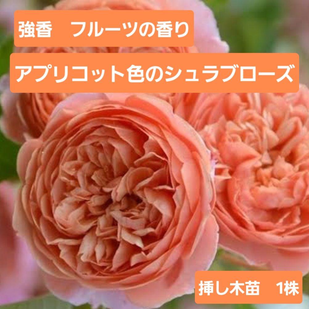 ガーン様 リクエスト 2点 まとめ商品 — image 2