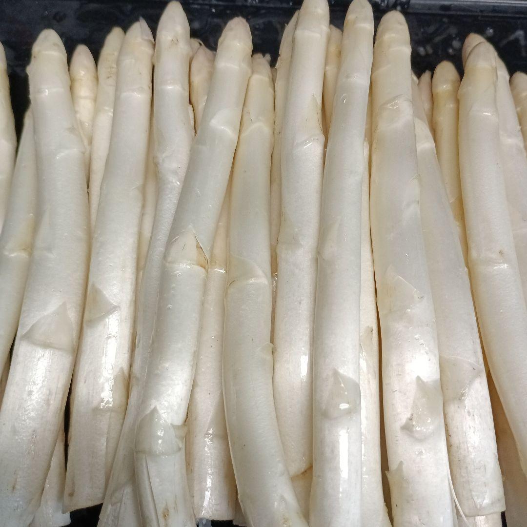 ホワイトアスパラガスB級品【700g】 露地栽培 — image 2