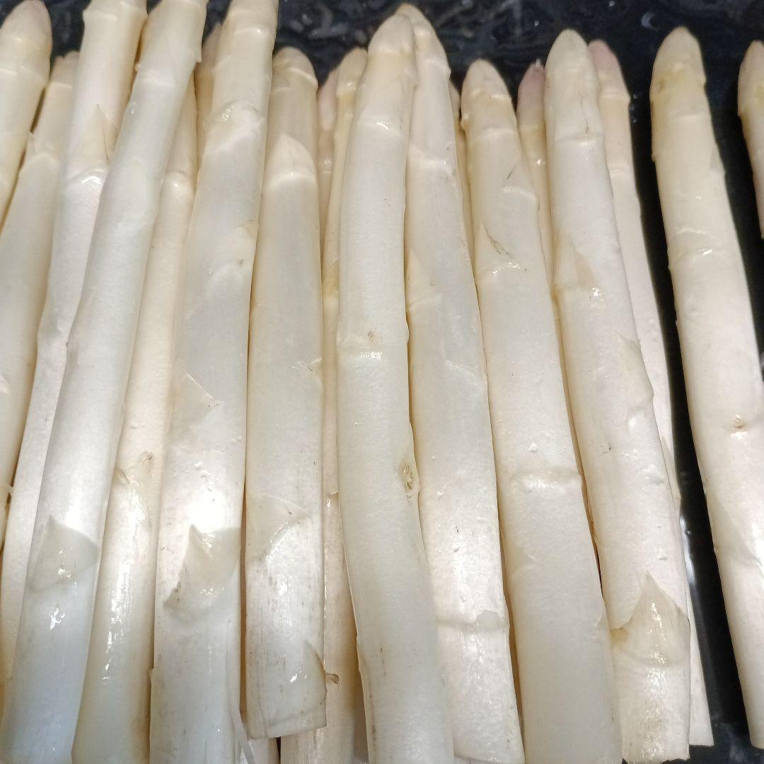 ホワイトアスパラガスB級品【700g】 露地栽培 — image 3