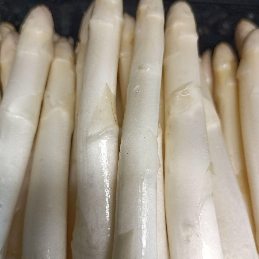 ホワイトアスパラガスB級品【700g】 露地栽培 — image 4