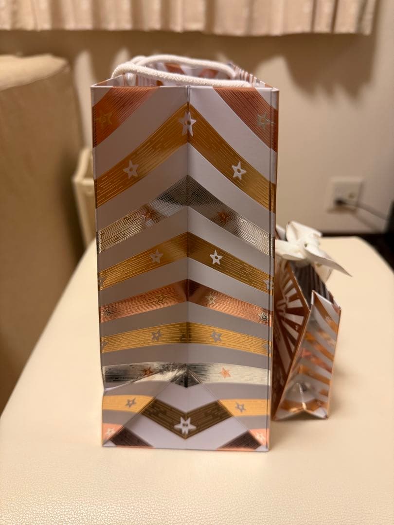 Christian Dior ショップ袋 2点セット — image 4