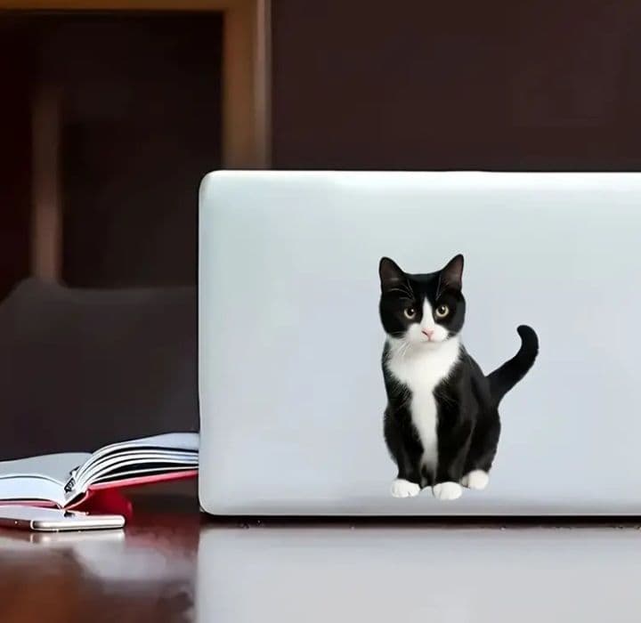 猫 ステッカー 白黒 ハチワレ — image 2