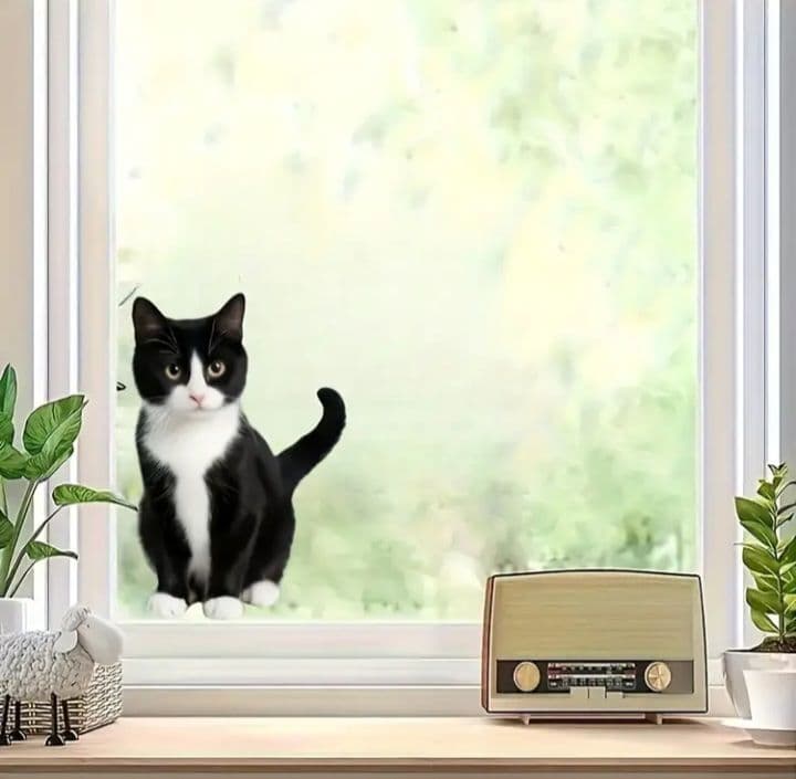 猫 ステッカー 白黒 ハチワレ — image 3