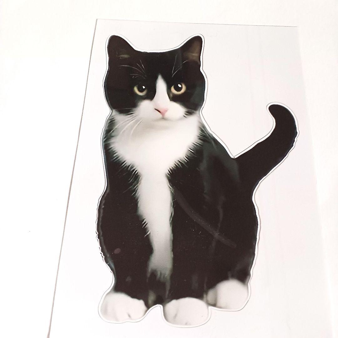猫 ステッカー 白黒 ハチワレ — image 5