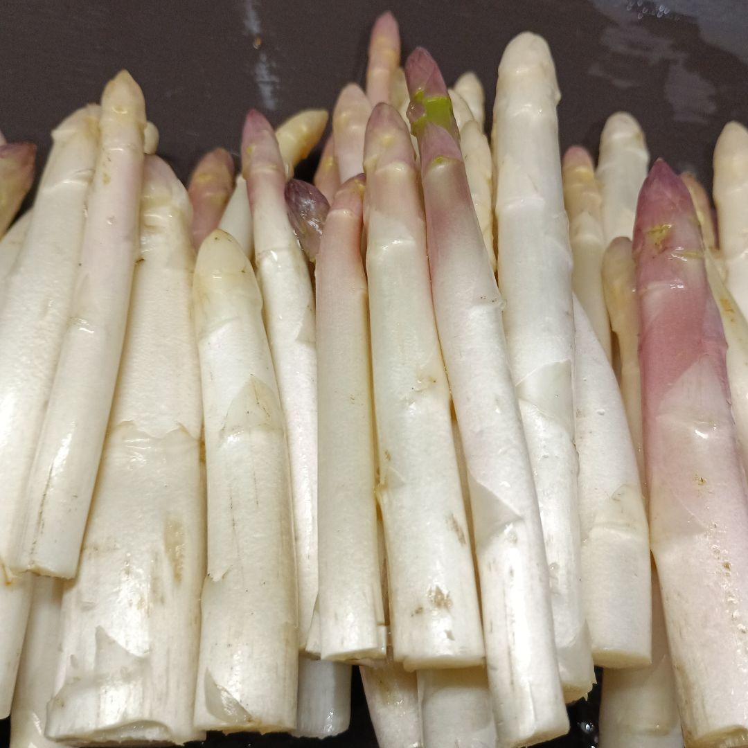 ホワイトアスパラガスB級品【700g】 露地栽培 — image 2