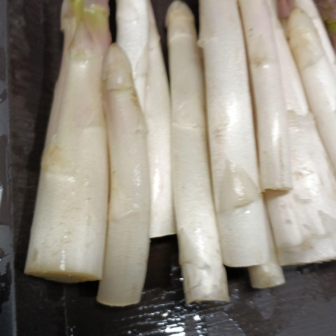 ホワイトアスパラガスB級品【700g】 露地栽培 — image 3