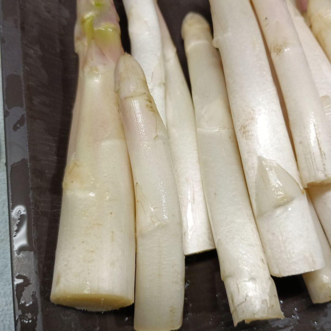 ホワイトアスパラガスB級品【700g】 露地栽培 — image 4