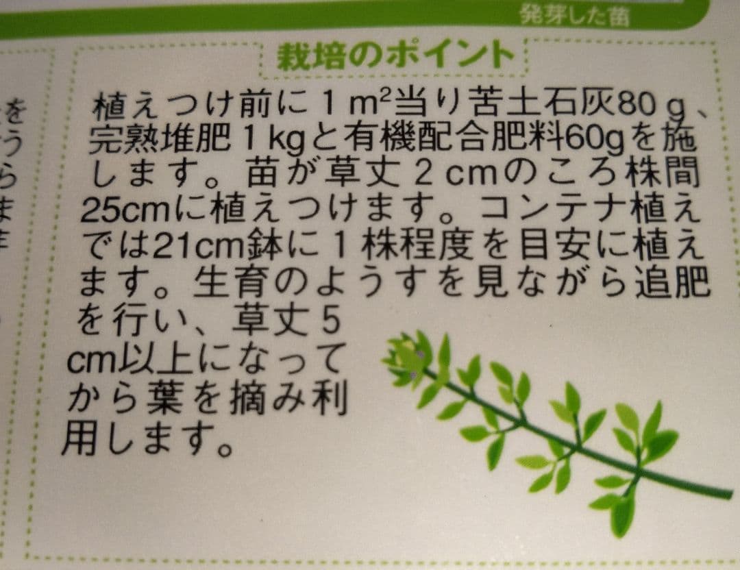 タイム＆バジル 各2個(7.5cmポット苗)合計4個セット コンパクト便発送予定 — image 3