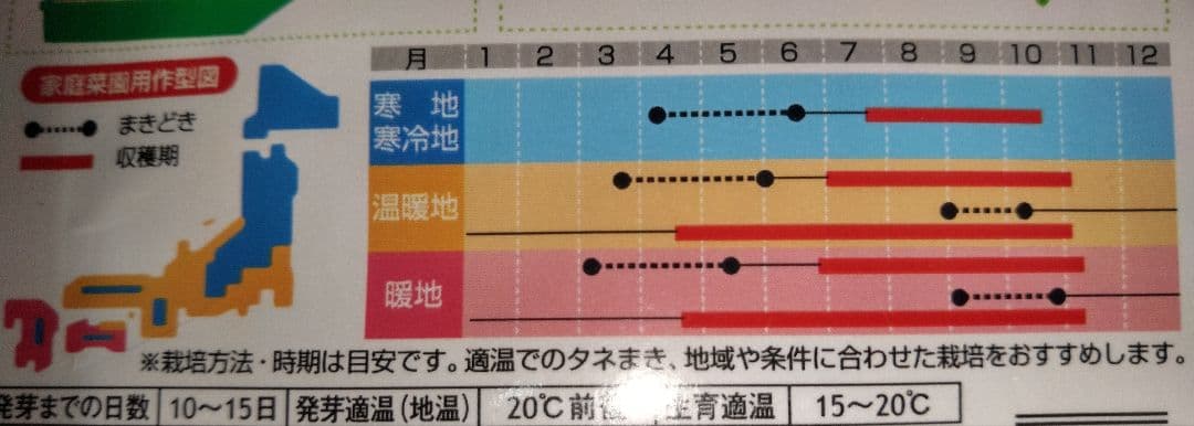 タイム＆バジル 各2個(7.5cmポット苗)合計4個セット コンパクト便発送予定 — image 4