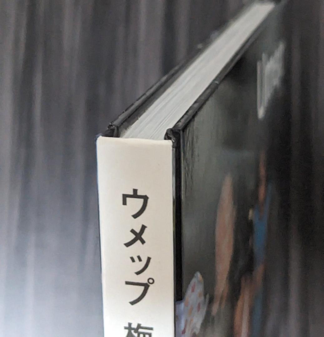 ウメップ — image 5