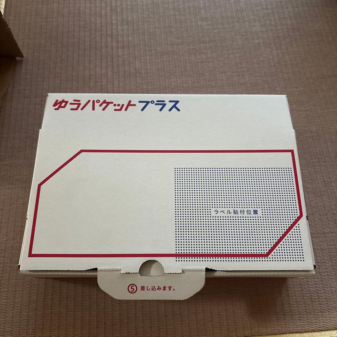 箱なし　ドラゴンボールZ BLOOD OF SAIYANS 超サイヤ人孫悟飯 — image 3