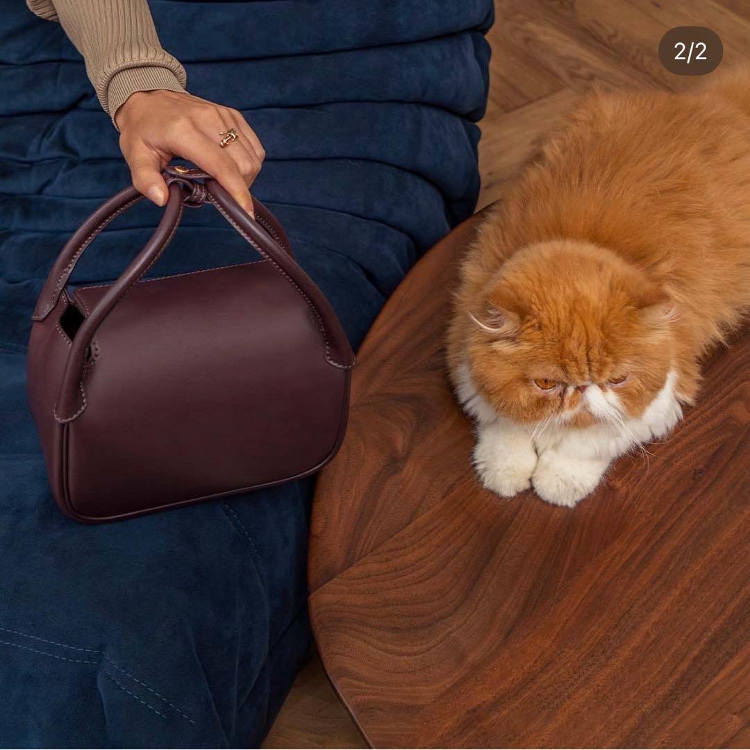 チャールズアンドキース　Charles&Keith ハンドバッグ　ブラウン — image 5