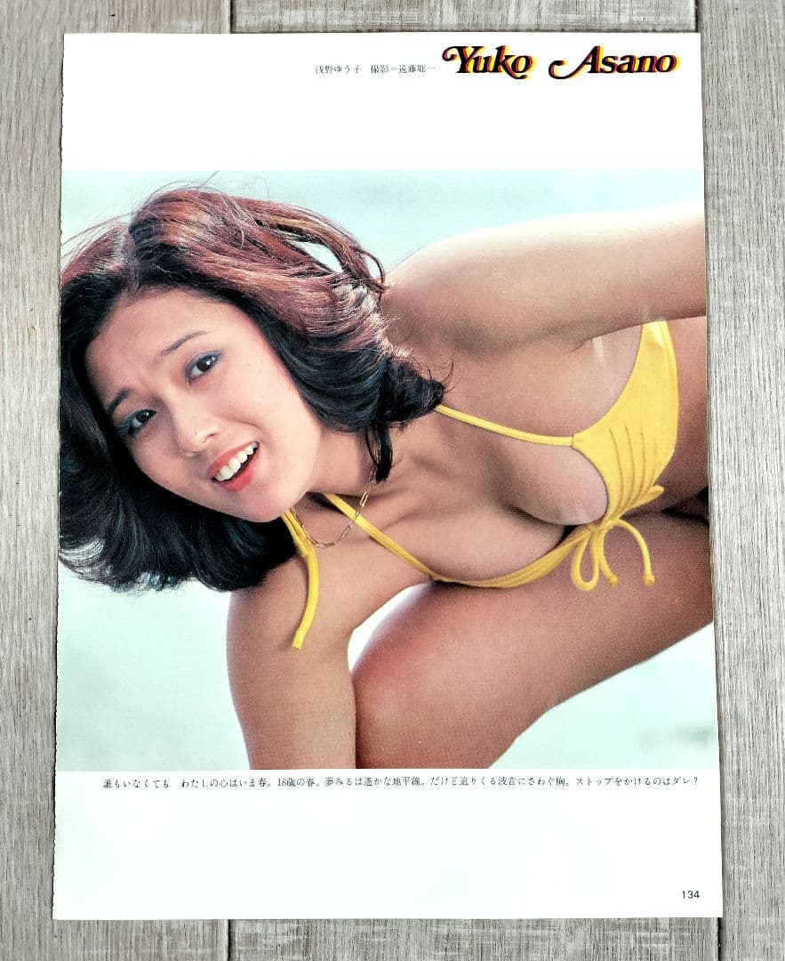 浅野ゆう子　秋本圭子 水着切り抜きA4サイズ — image 4