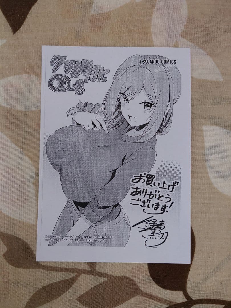10年ぶりに再会したクソガキは清純美少女JKに成長していた 3 初版③ 特典付き — image 3