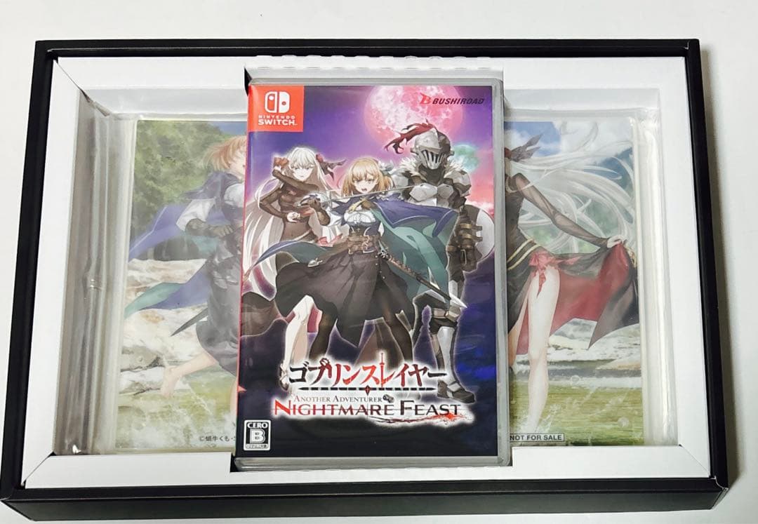Switch ゴブリンスレイヤー -ANOTHER ADVENTURER- N… — image 4