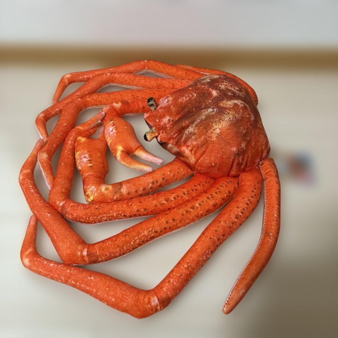リアルカニ BIGぬいぐるみ 蟹 カニ ぬいぐるみ　タグ付き — image 2