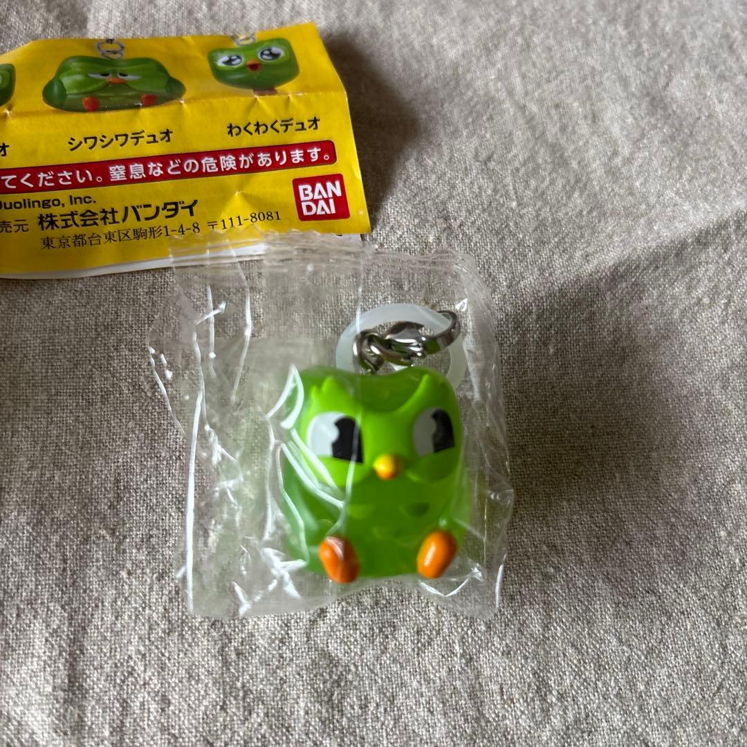 duolingo ドゥオリンゴ　めじるしアクセサリー　ちら見デュオ　デュオ — image 3