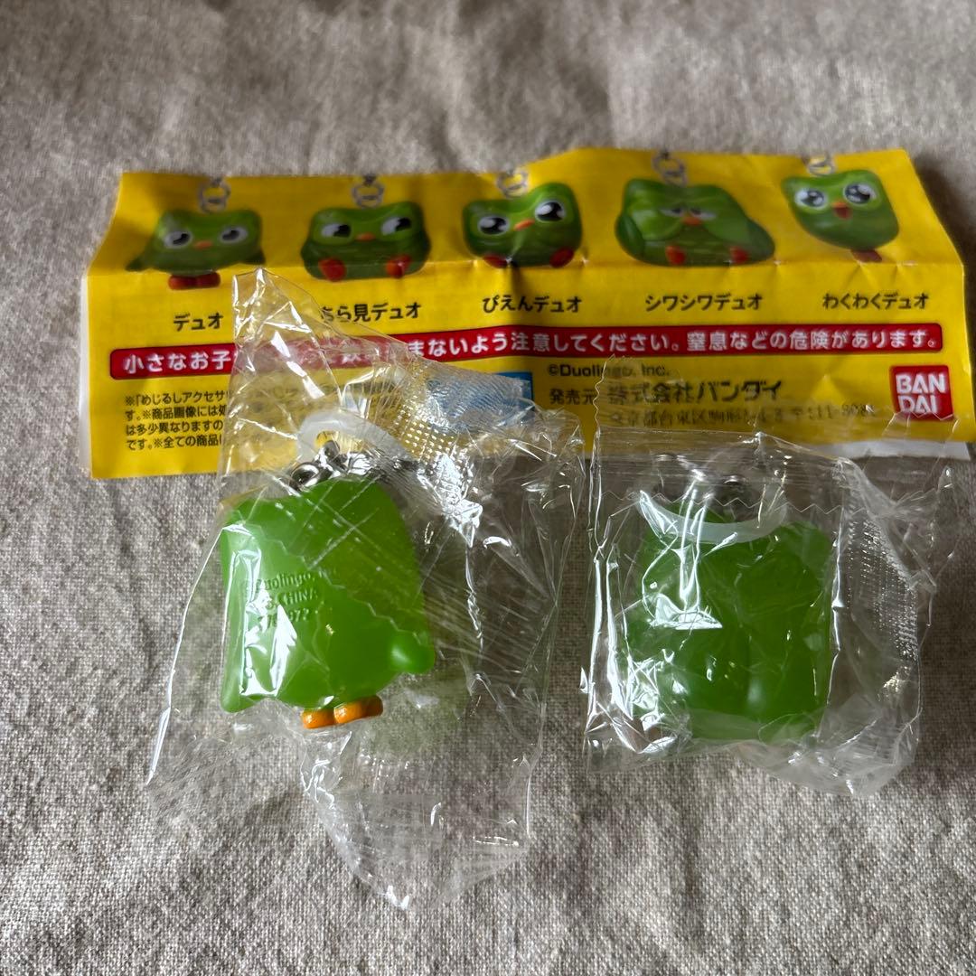 duolingo ドゥオリンゴ　めじるしアクセサリー　ちら見デュオ　デュオ — image 4