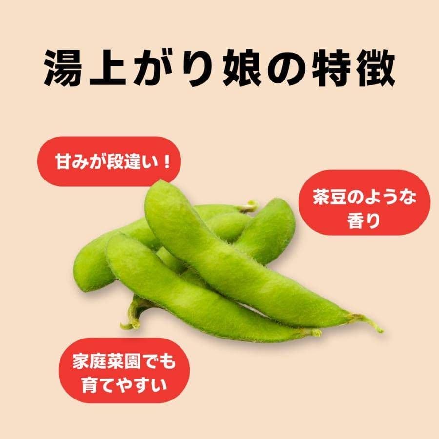 ⑥枝豆 — image 3