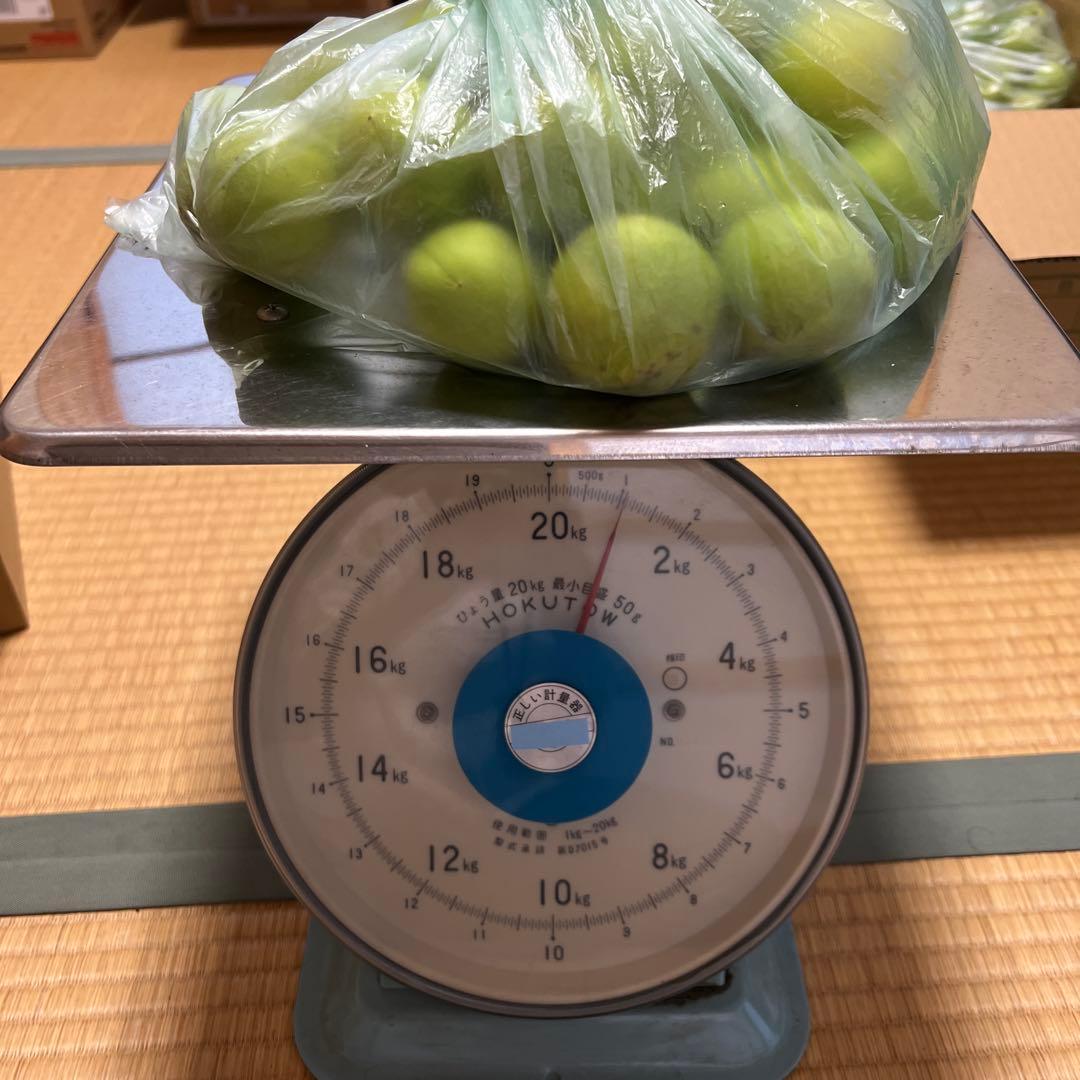 Miel-ko 様　専用　梅中〜大1キロ — image 2