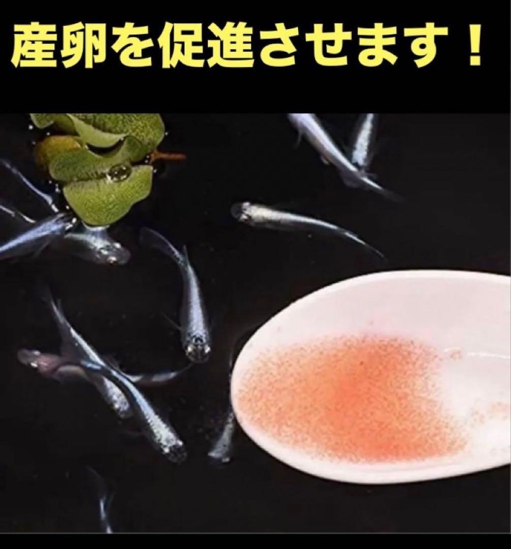 psb 光合成細菌(グリーンウォーター　ホテイアオイ　メダカ餌　液肥　ゾウリムシ — image 3