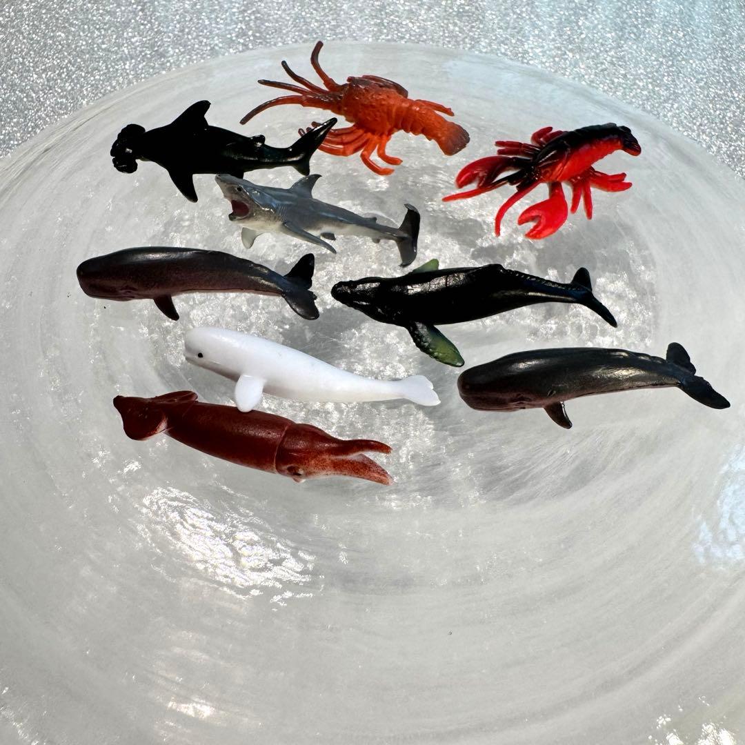 海の生き物 フィギュア 9体セット クジラ サメ ロブスター まとめ売り — image 4