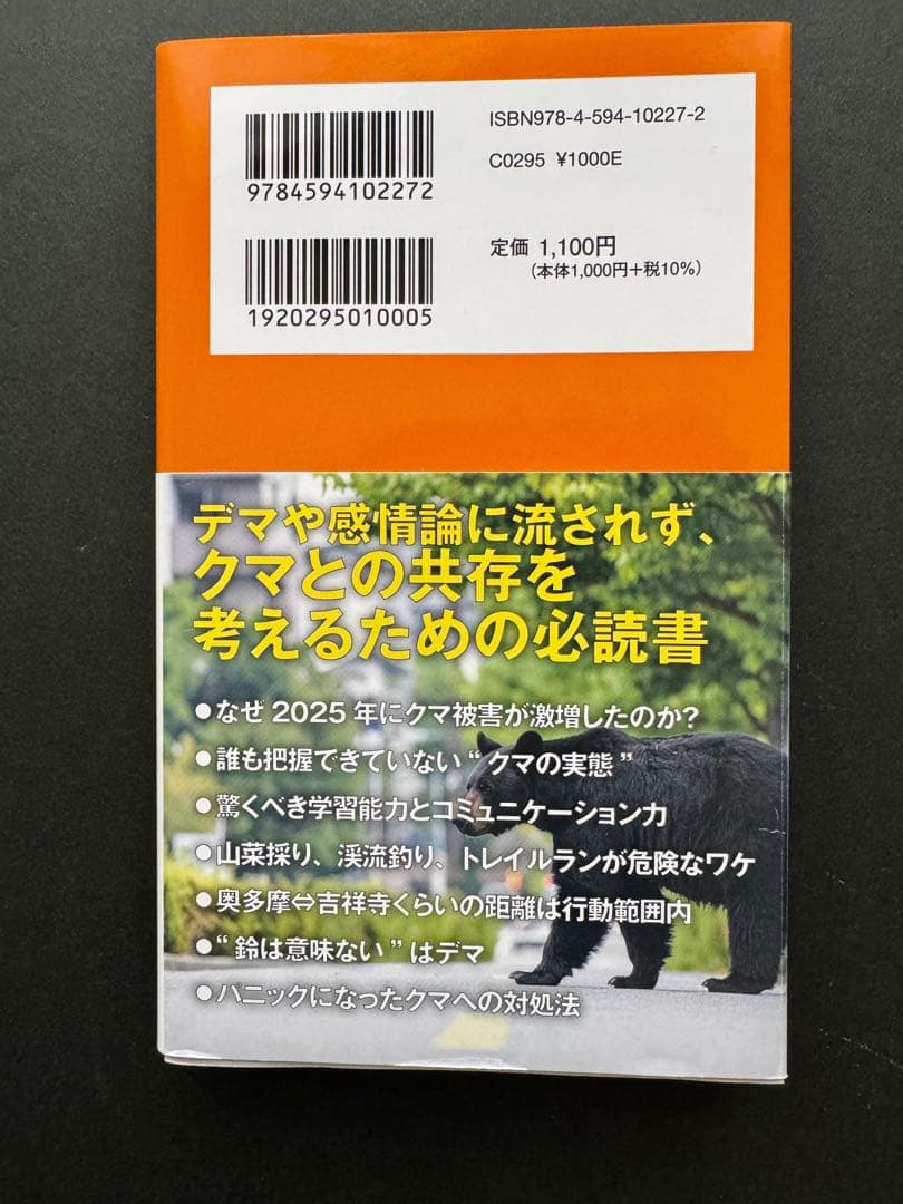 クマは都心に現れるのか? — image 2