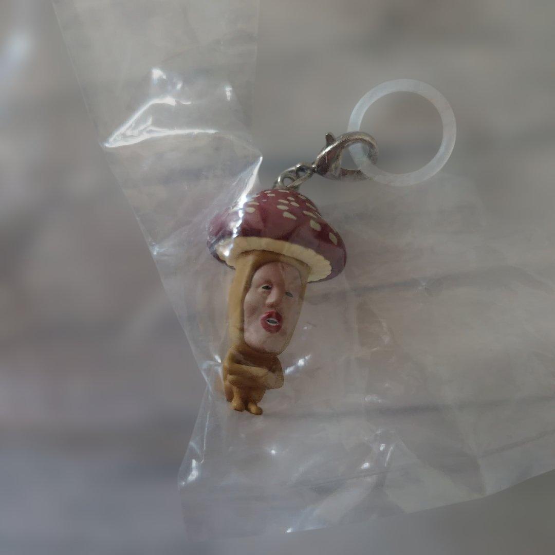 【未開封】こびとづかん キーホルダー 2種セット — image 5